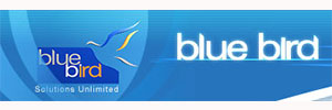 Zigma Marketing - bule bird