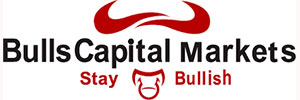 Zigma Marketing - Bulls