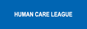 Zigma Marketing - HUMAN CARE LEAGUE 