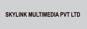 Zigma Marketing - SKYLINK MULTIMEDIA PVT LTD 