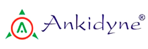 Zigma Marketing - Ankindyne