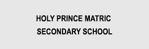 Zigma Marketing - HOLY PRINCE MATRIC SECONDARY SCHOOL