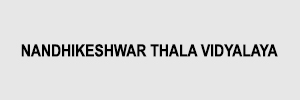 Zigma Marketing - NANDHIKESHWAR THALA VIDYALAYA 
