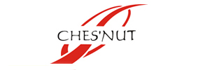Zigma Marketing - Chesnut