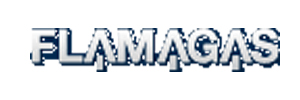 Zigma Marketing - FLAMAGAS PRIVATE PVT LTD 