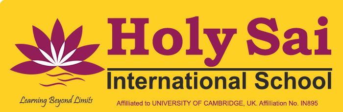 Zigma Marketing - HOLY SAI INTERNATIONAL SCHOOL 