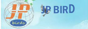 Zigma Marketing - J.P.BIRDS